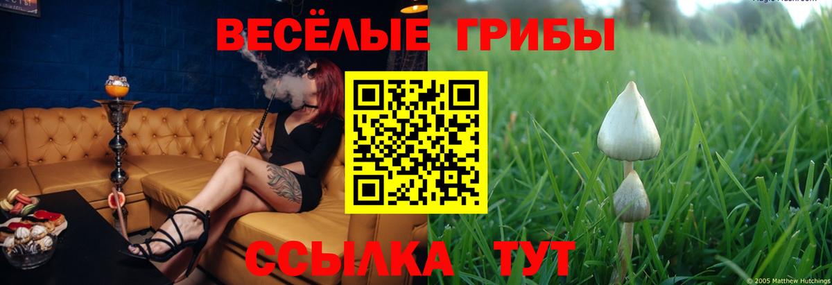 Галлюциногенные грибы Cubensis  Вход с VPN  Кинешма 